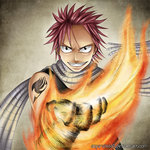 Natsu-salamander